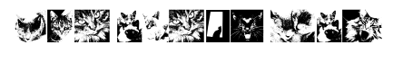 CatBats