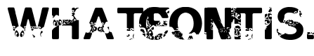 Polar Shift Bold