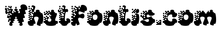 SplashExtraBold