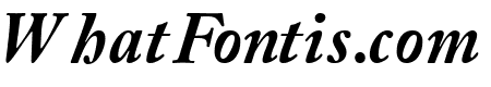 CaslonBlackSSK Italic
