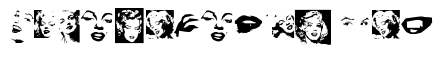 Monroe Dingbats