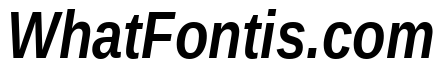 Liberation Sans Narrow Bold Italic
