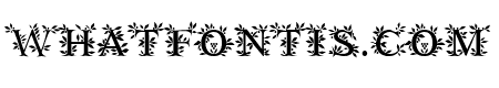 EFN Zielony Font