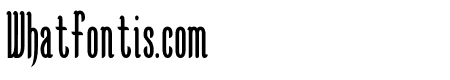 KarlKrausCondensed
