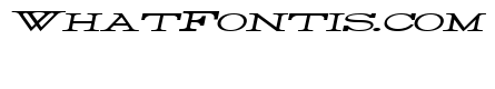 Rider Widest Ultra-expanded Light Italic