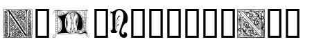 Ornamental Initials N