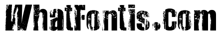 Very Damaged Bold