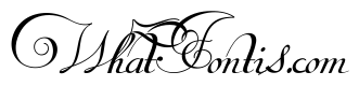 Van den Velde Script