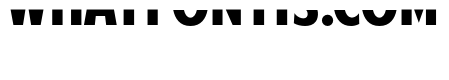 American Purpose STRIPE 1 Bold Italic