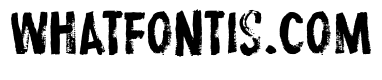 ProtestPaint BB