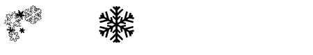 ryp_snowflake1
