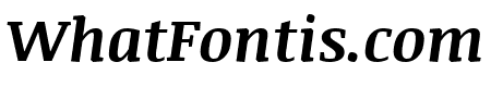 Noticia Text Bold Italic