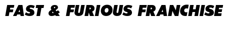 SansSerifExbFLF-Italic