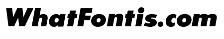 SansSerifExbFLF-Italic