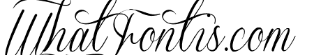 Sverige Script Decorated Demo