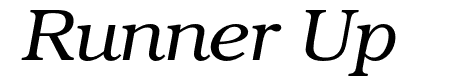 TeXGyreBonum-Italic