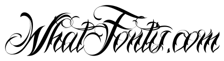 Nina Script Demo