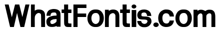 Arctik 4.5