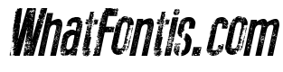 New Press Eroded Italic Italic