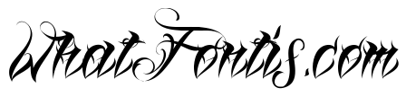 Lina Script Demo