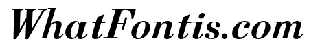 Berenis ADF Pro Bold Italic
