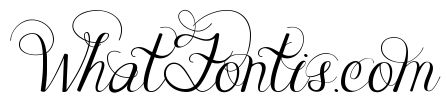 Janda Celebration Script