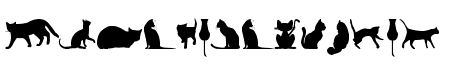 kitty cats tfb