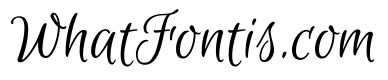 Euphoria Script