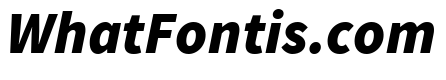 Source Sans Pro Black Italic
