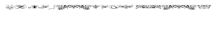 ornaments labels and frames
