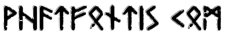 Gunfjaun Runic