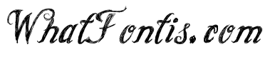 Cursive Option Italic