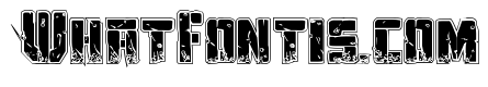 Tower Ruins Academy