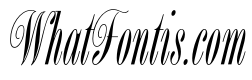 BordenFiveScriptOpti