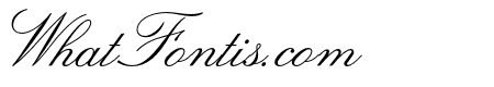 LeviScriptOpti