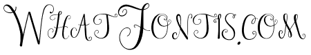 Janda Stylish Monogram
