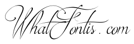Brotherhood Script