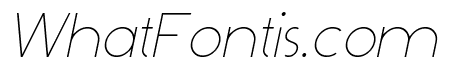 Dominik Thin Italic