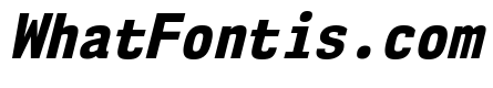 NK57MonospaceScEb-Italic