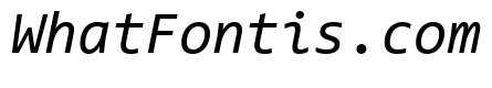 Code New Roman Italic