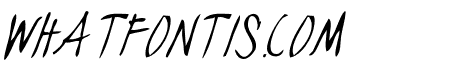 blackjacketboys-ThinItalic