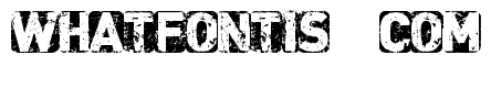 CF Punk is not Dead Regular