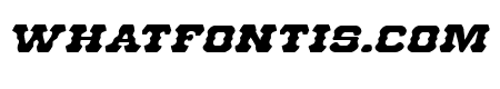 U.S. Marshal Expanded Italic