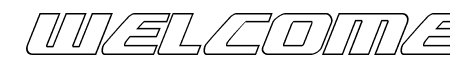 Global Dynamics Outline Italic