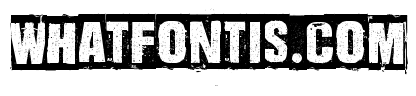 Dharma Punk