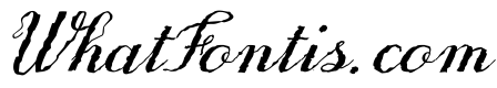 Only One Dollar Demo Italic