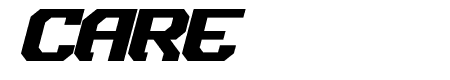 Dynotherm Bold Italic