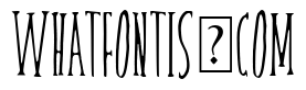 skinnyserif