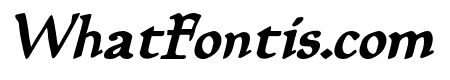 Planewalker Bold Italic