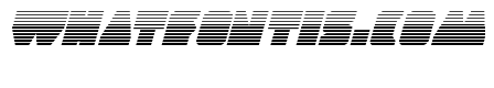 Contour of Duty Gradient Italic